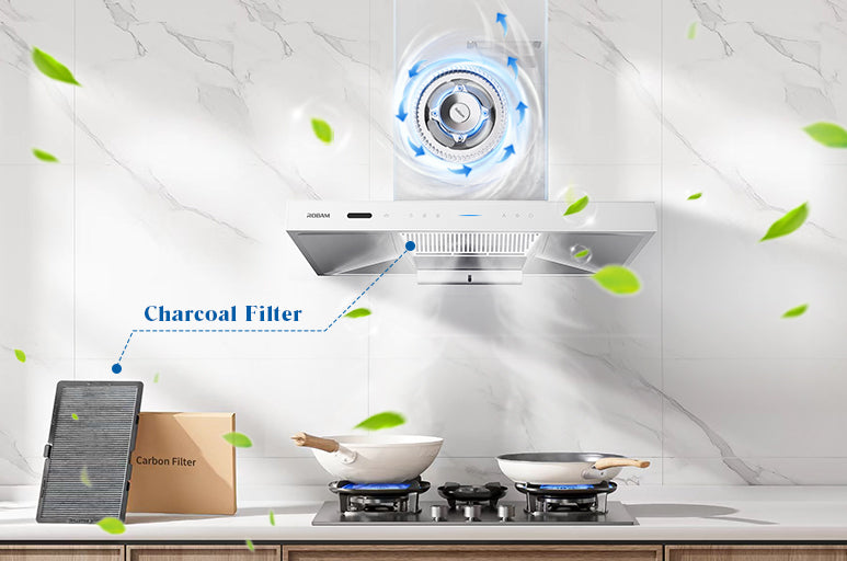 Kitchen setup with a range hood and charcoal filter on a white background