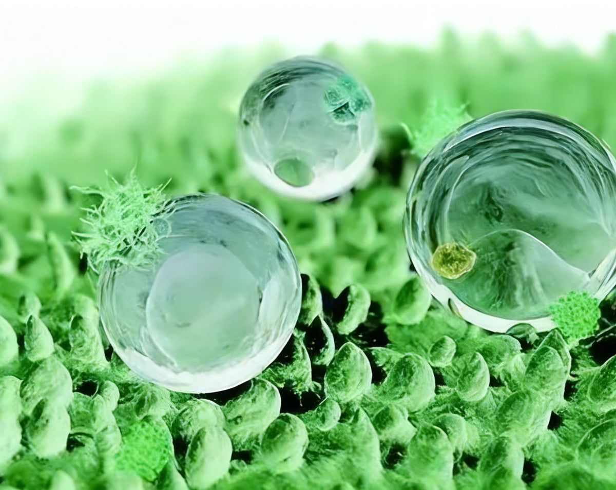 Easy-Clean Hydrophobic Glass Nano-Coating