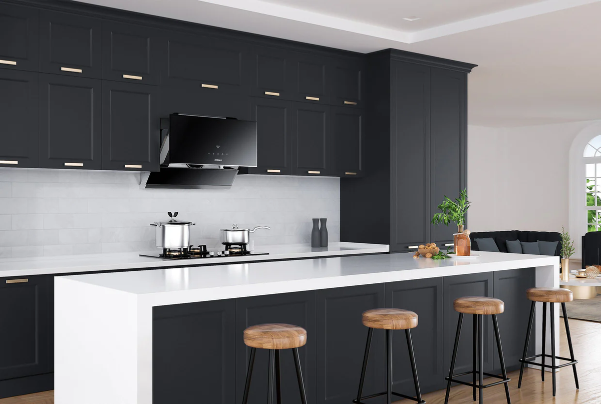 ROBAM rl260806v3 Range Hood R MAX A679S Pros.png
